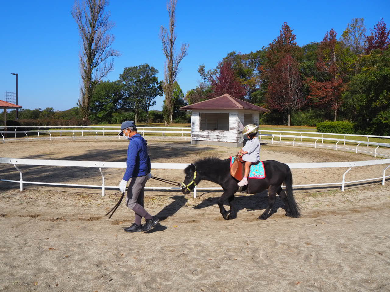 しあわせの村にやってきたでいでいガール_f0370091_18594431.jpg