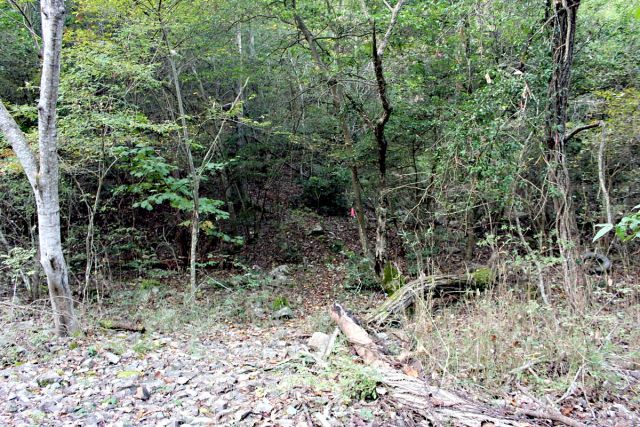 熊山 竜の岩から反射板コースを登る!の巻_f0325295_16164036.jpg