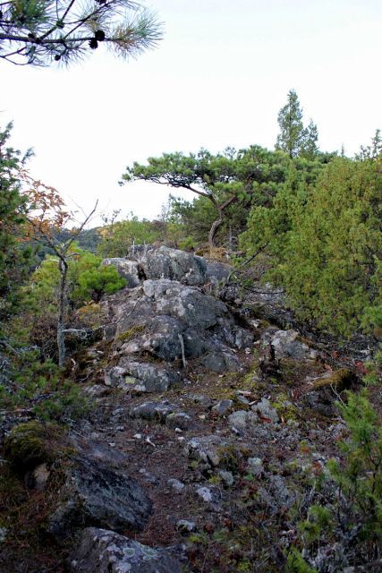 熊山 竜の岩から反射板コースを登る!の巻_f0325295_16273055.jpg