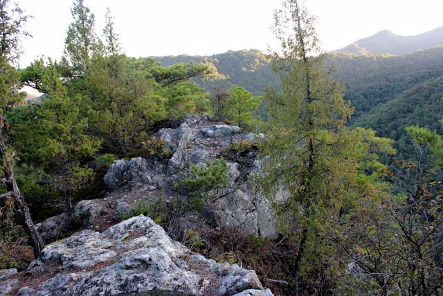 熊山 竜の岩から反射板コースを登る!の巻_f0325295_16273802.jpg