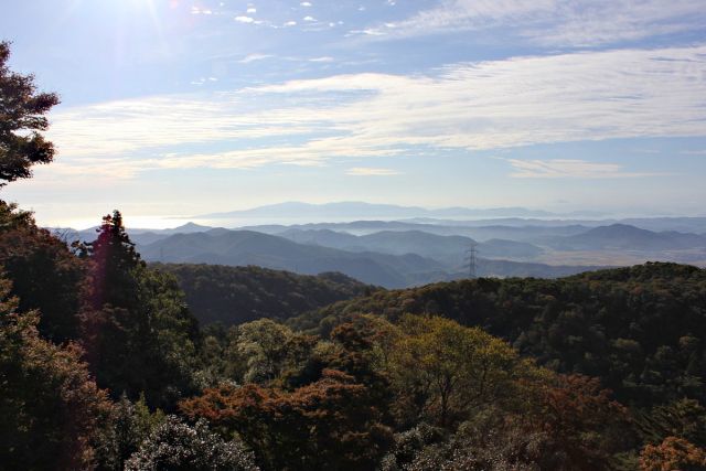 熊山 竜の岩から反射板コースを登る!の巻_f0325295_17103921.jpg