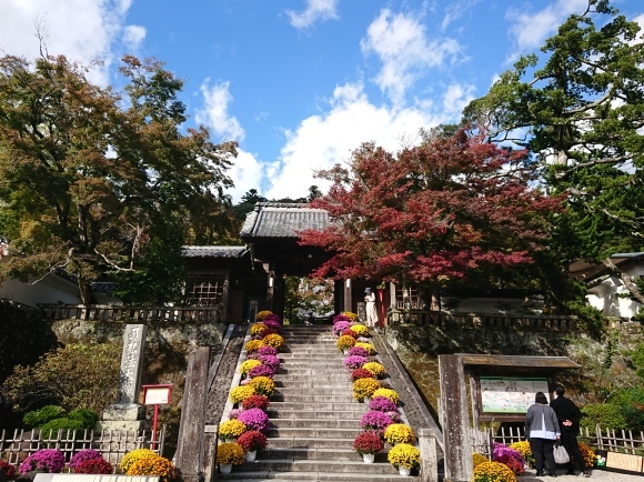 11/4 修善寺、日枝神社 with 伊豆箱根鉄道_b0042308_20571743.jpg