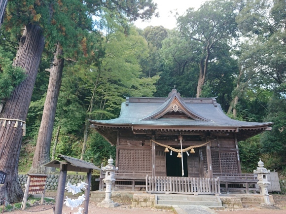 11/4 修善寺、日枝神社 with 伊豆箱根鉄道_b0042308_21195625.jpg