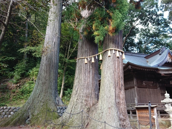 11/4 修善寺、日枝神社 with 伊豆箱根鉄道_b0042308_21195880.jpg