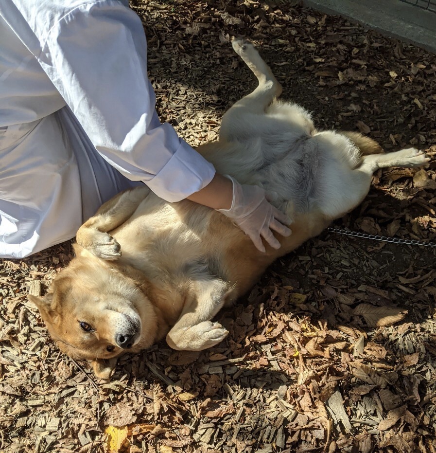 _f0078320_00300385.jpeg