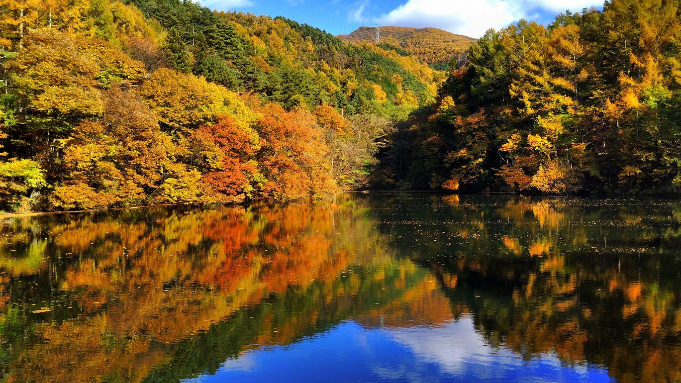絶景かな!名も無き池の紅葉水鏡・・・高ボッチへの途中_a0031821_16384322.jpg