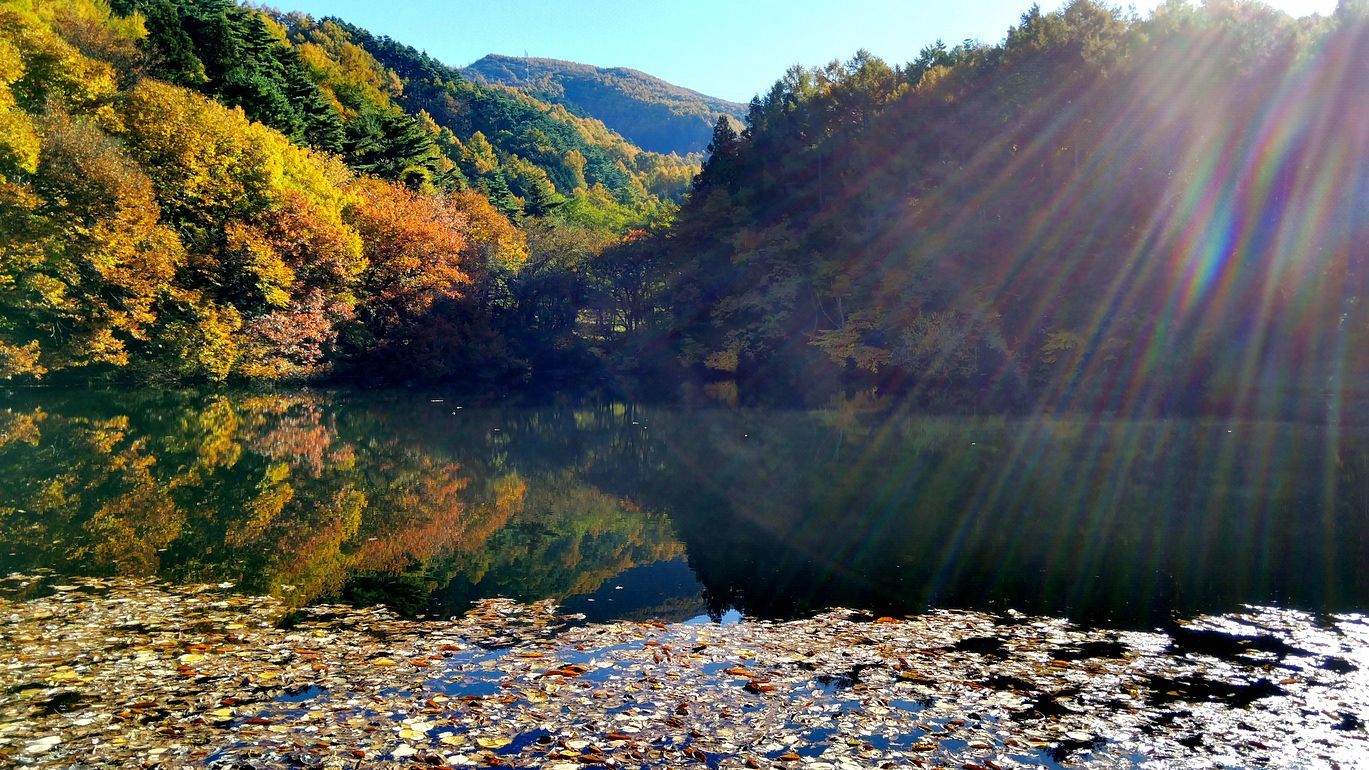 絶景かな!名も無き池の紅葉水鏡・・・高ボッチへの途中_a0031821_16532287.jpg