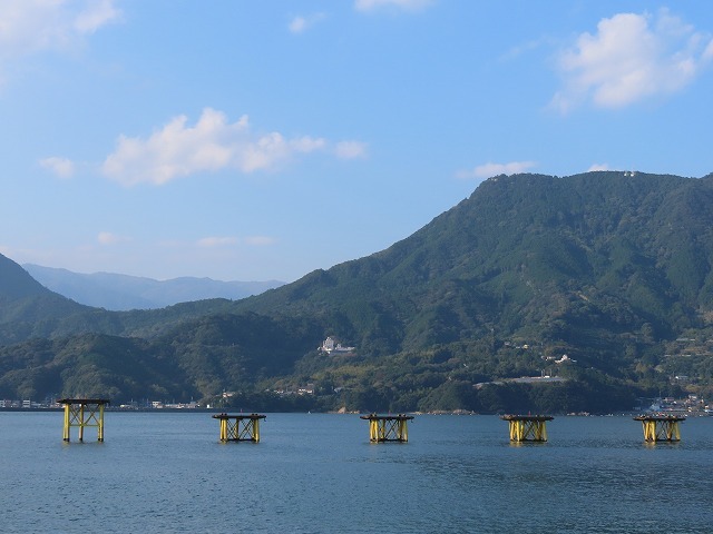 散歩で出会った光景(撮影:10月29日)_e0321325_18413145.jpg
