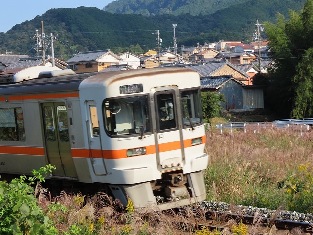 散歩で出会った光景(撮影:10月29日)_e0321325_18414693.jpg