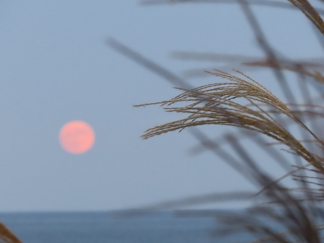 行野浦漁港夕景(撮影:10月31日)_e0321325_19165381.jpg