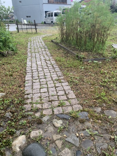 冬が来る前に_d0180229_11313894.jpg