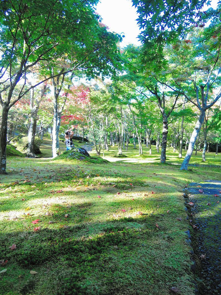 箱根美術館@公園上 #3_c0395834_21142541.jpg
