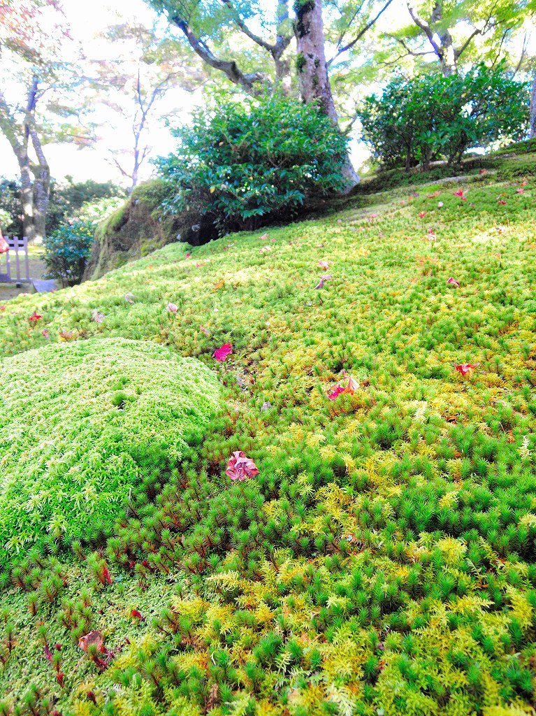 箱根美術館@公園上 #3_c0395834_21142573.jpg
