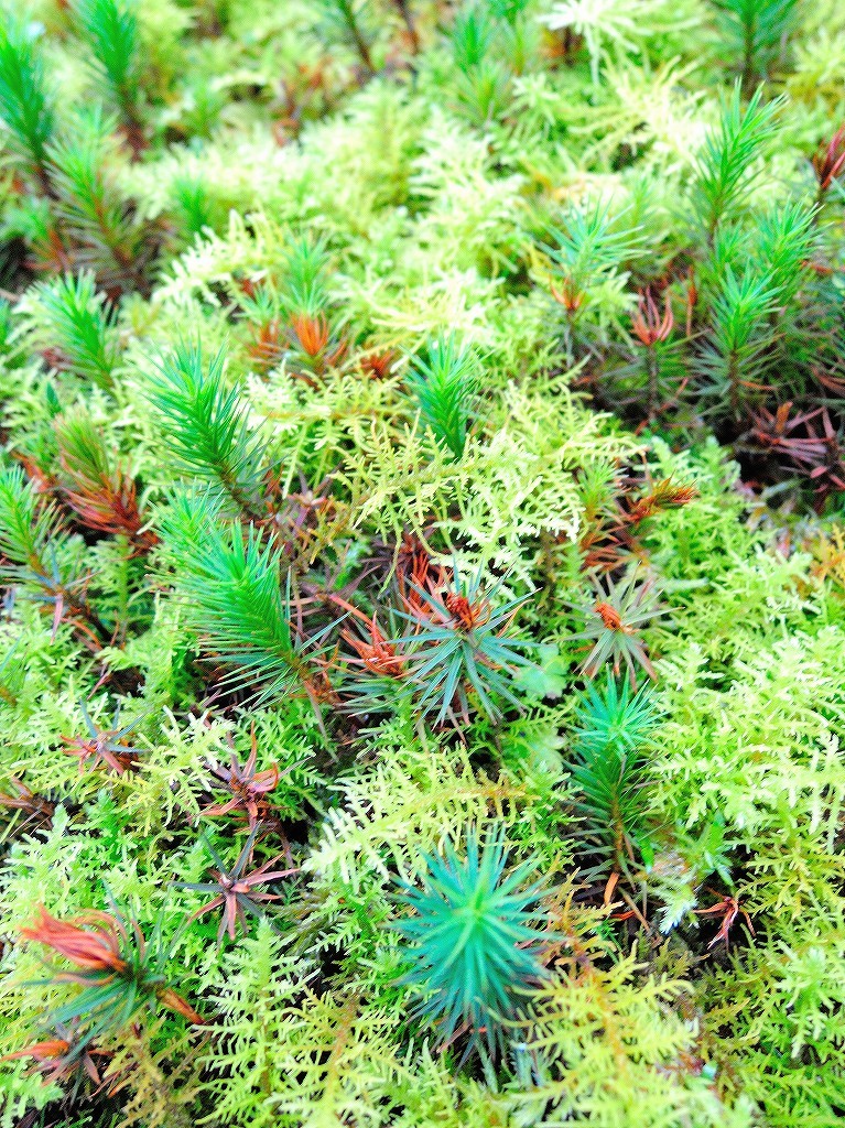 箱根美術館@公園上 #3_c0395834_21143133.jpg