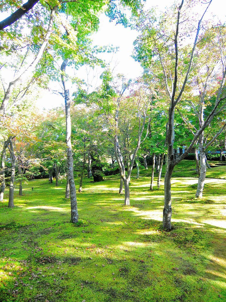 箱根美術館@公園上 #3_c0395834_21143170.jpg