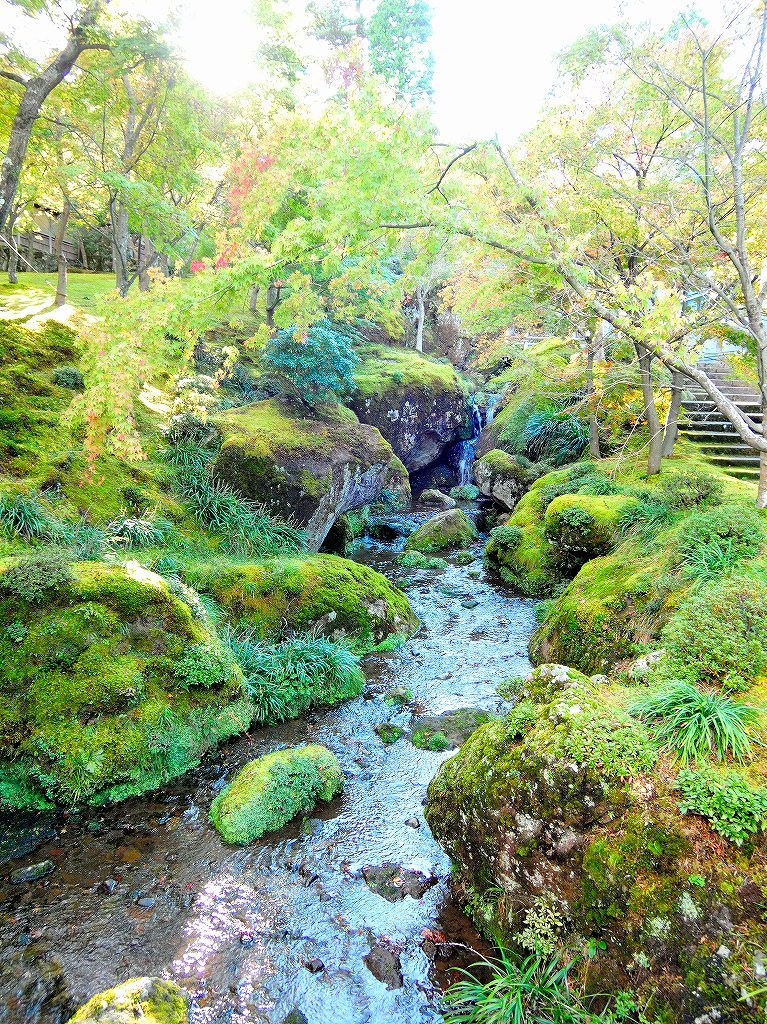箱根美術館@公園上 #3_c0395834_21143244.jpg