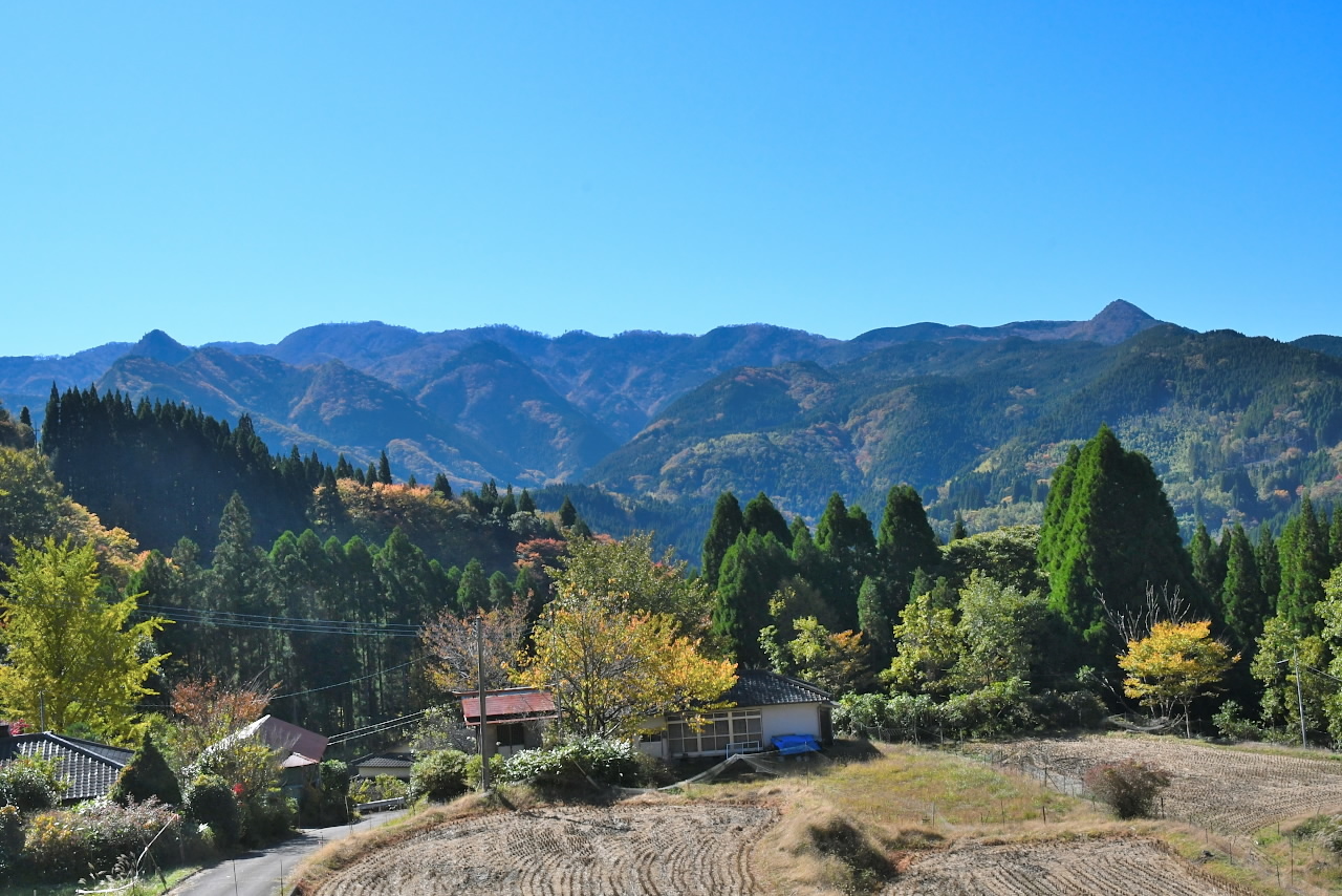 紅葉狩りで肝を冷やす 白秋の黄昏 紅葉狩りで肝を冷やす 白秋の黄昏