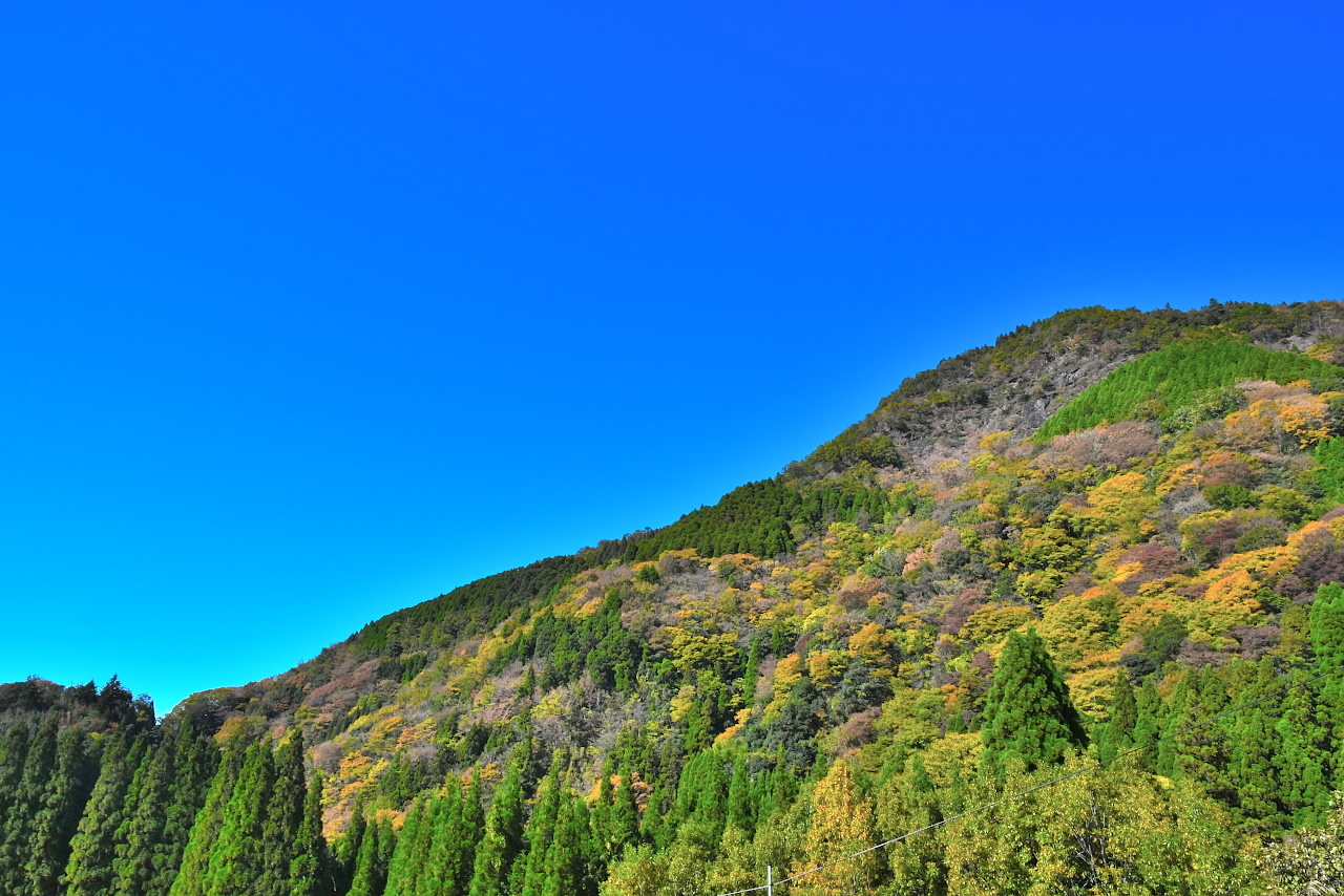 紅葉狩りで肝を冷やす 白秋の黄昏 紅葉狩りで肝を冷やす 白秋の黄昏