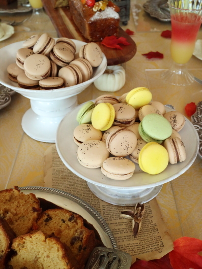 フルーツケーキ　紅茶マカロン　パンナコッタのレッスン_d0210450_14462445.jpg