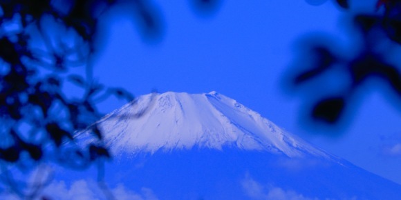 立冬の朝。。。 ! !_a0248459_14555047.jpg