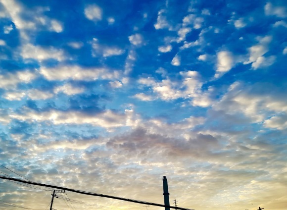 立冬の朝。。。 ! !_a0248459_14594042.jpg