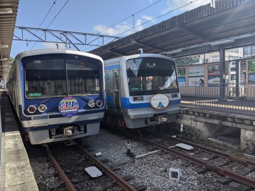 3路線乗りつぶし旅ー185系にも乗車_a0329563_22284190.jpg