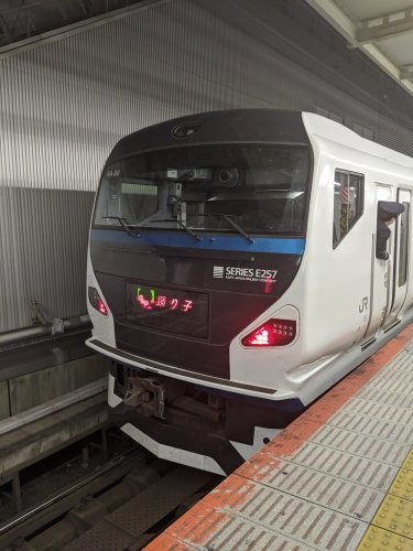 3路線乗りつぶし旅ー185系にも乗車_a0329563_22380330.jpg
