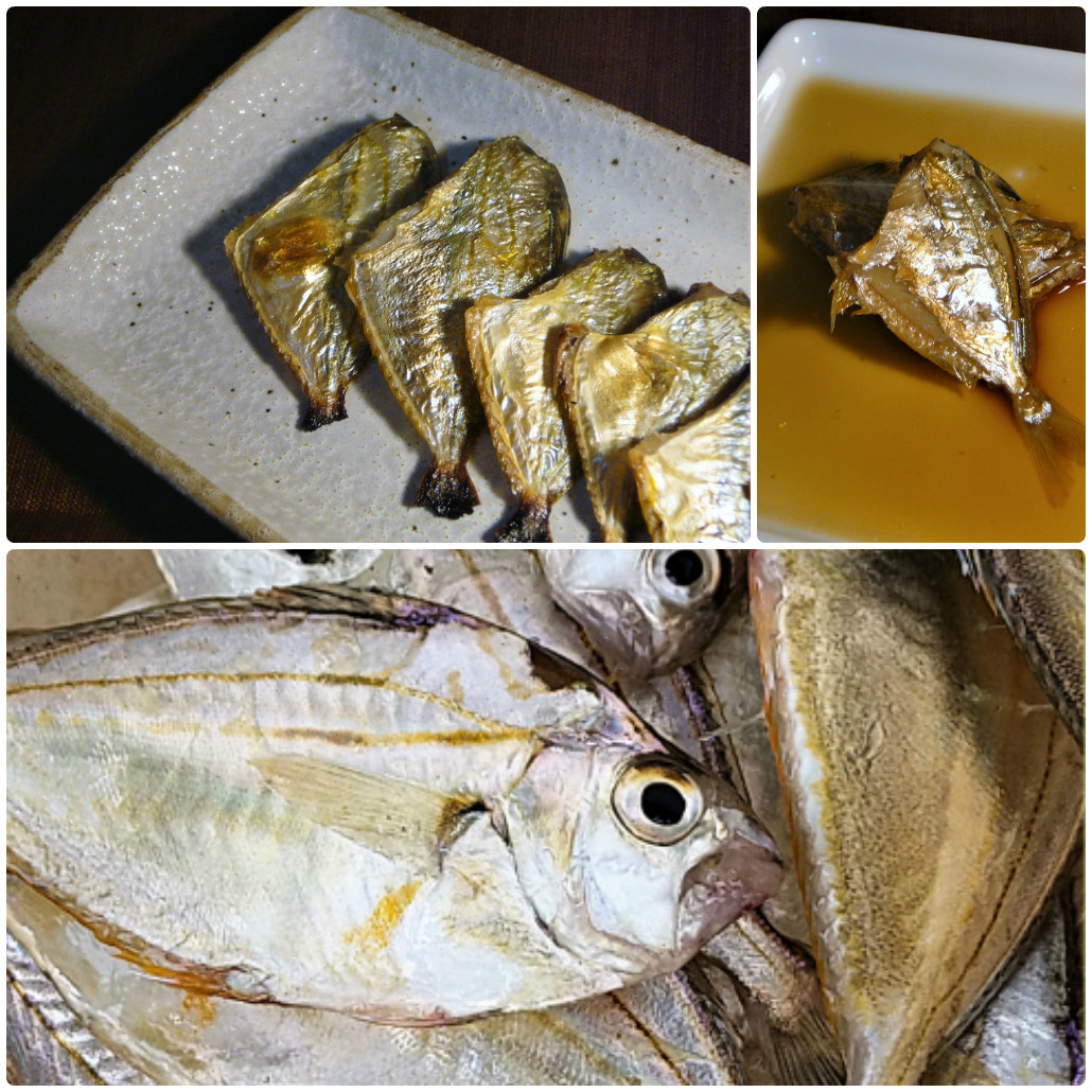 注目 ヒイラギ 肴 注目 ヒイラギ 肴