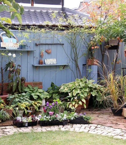 春の花苗を集めています 宝塚 陽春園 Soleilの庭あそび 布あそび