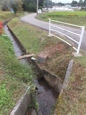 縄文・水の根っこの里をいく　_d0329286_12374929.jpg