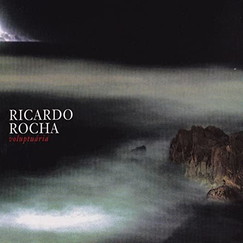 ポルトガルのギタリスト　　Ricardo Rosha（リカルド・ホーシャ）_b0074416_09362793.jpg
