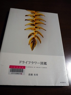 自前の植物でリースを M S Factory