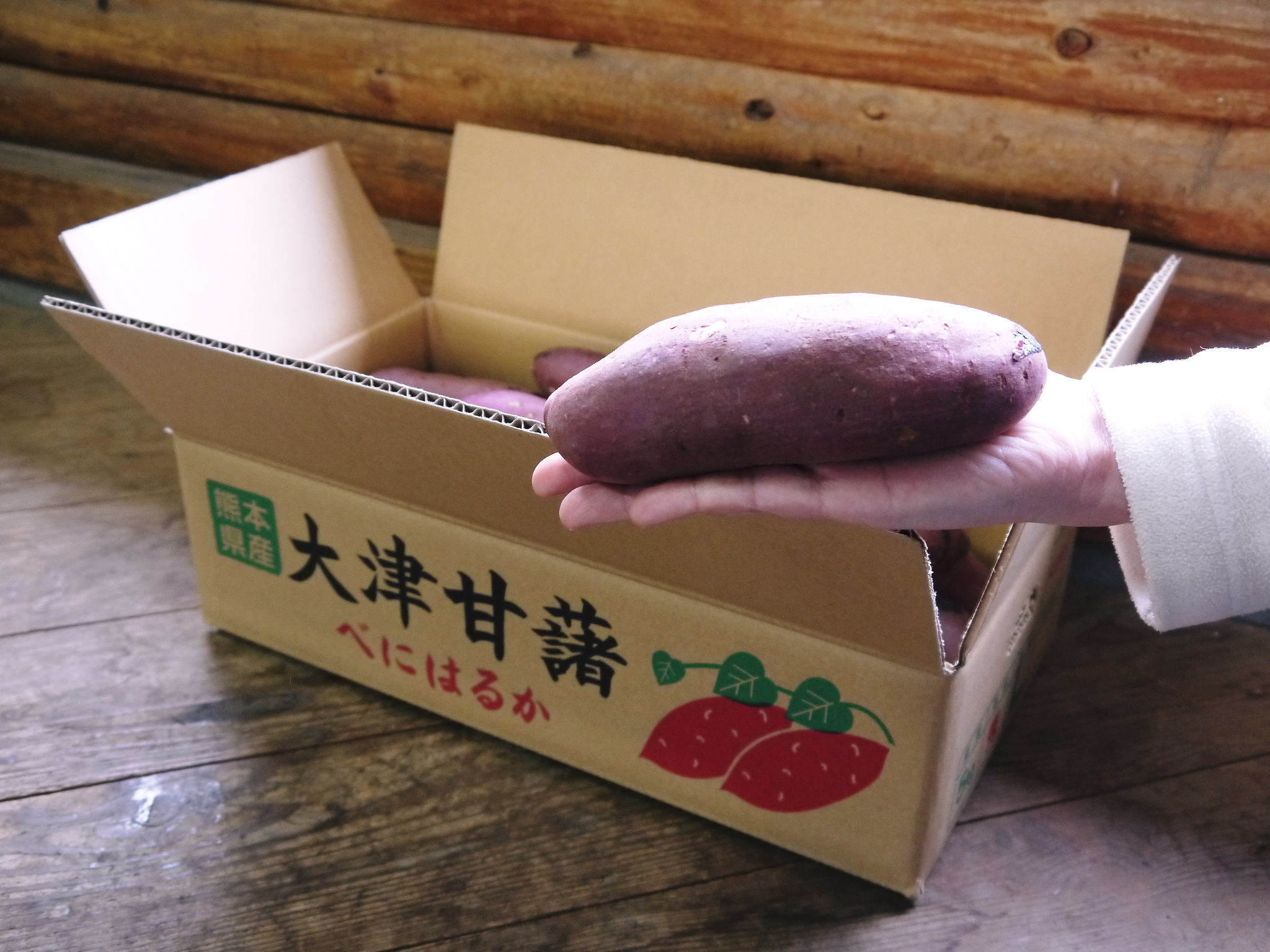 熊本産大津甘藷『からいも(サツマイモ)』大好評販売中!栽培歴50年の匠のサツマイモはやっぱり最高です!_a0254656_17061552.jpg