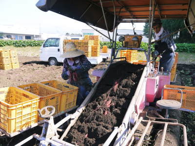 熊本産大津甘藷『からいも(サツマイモ)』大好評販売中!栽培歴50年の匠のサツマイモはやっぱり最高です!_a0254656_17284298.jpg