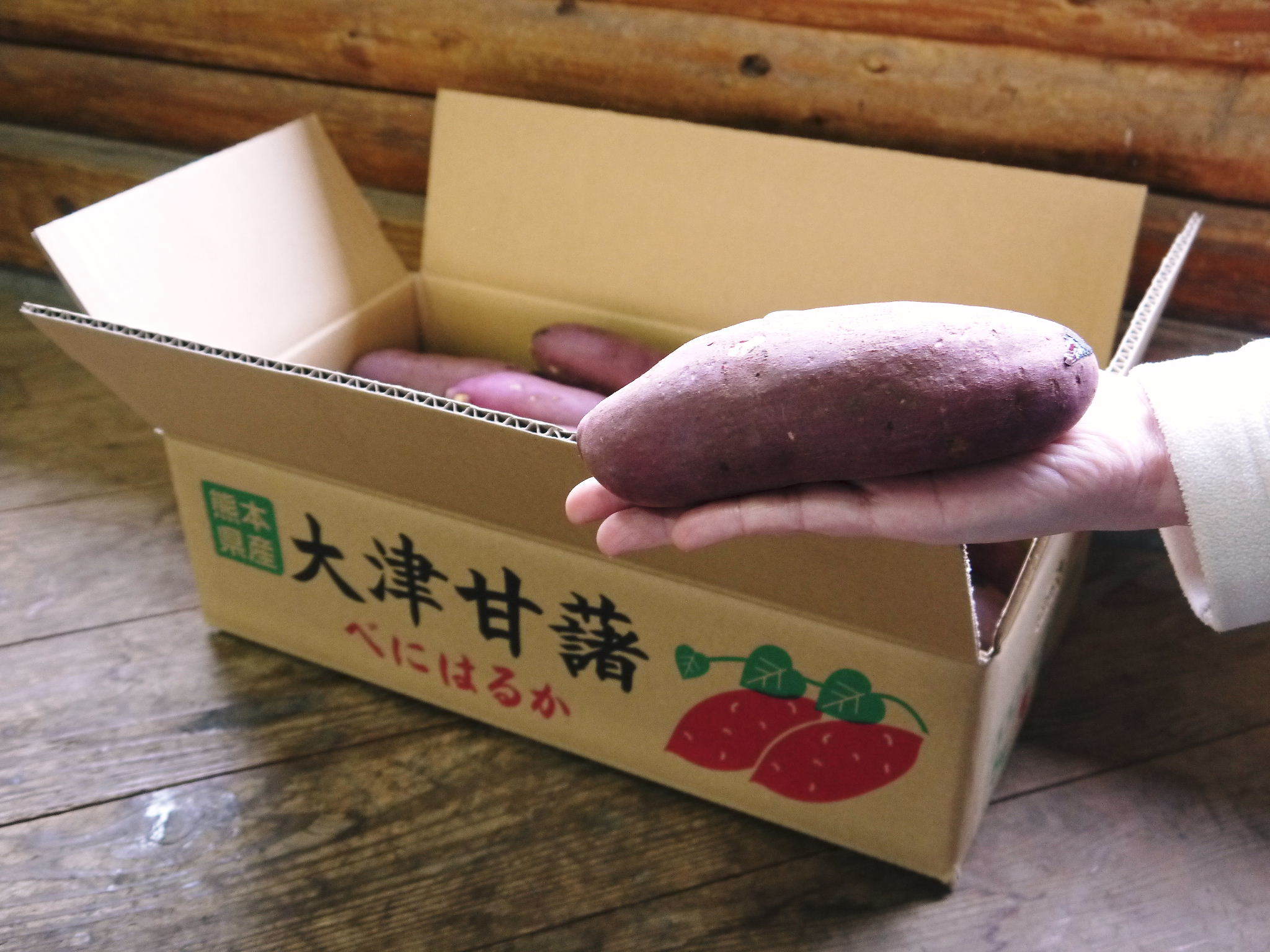 熊本産大津甘藷『からいも(サツマイモ)』大好評販売中!栽培歴50年の匠のサツマイモはやっぱり最高です!_a0254656_17552445.jpg