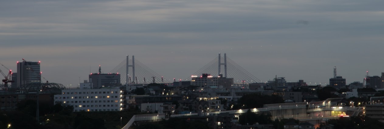 ペギー葉山 。。。 ! ?_a0248459_15420265.jpg