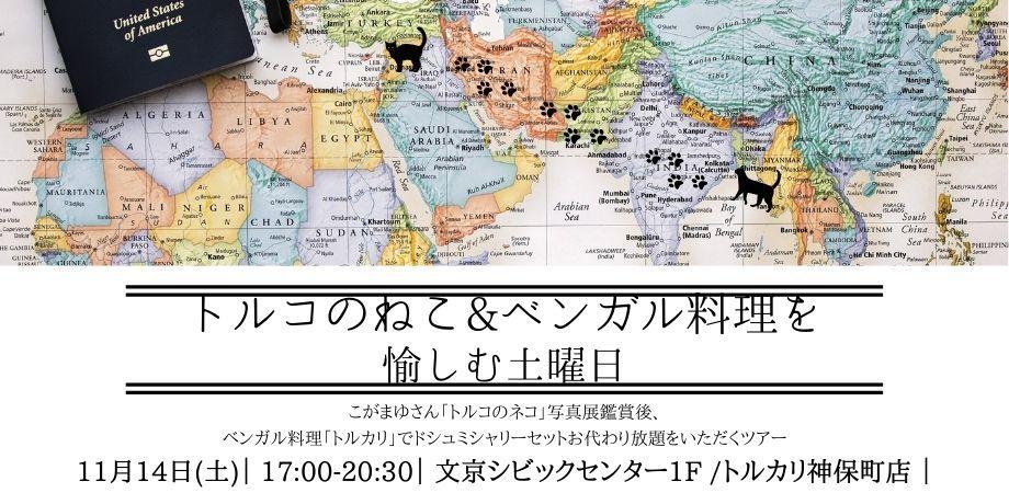 11/14（土）17：00~【世界のまかない料理特別企画】トルコねこ写真展からベンガル料理を楽しもう　イベントのお知らせ_e0255060_20282678.jpeg