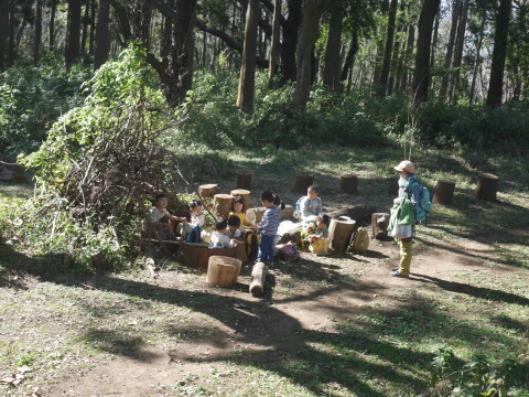 保育園児が笑顔でピースサイン11・5六国見山手入れ（下）_c0014967_17341558.jpg