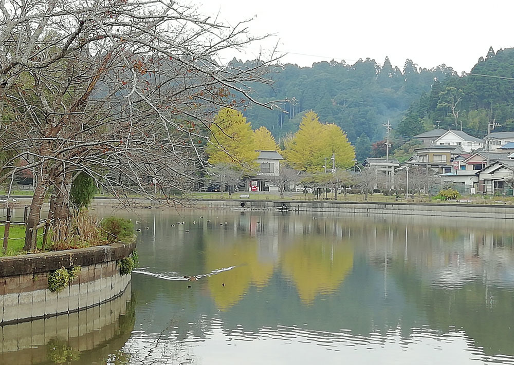 Go To 東金 八鶴湖の秋 東金 折々の風景 写真と俳句