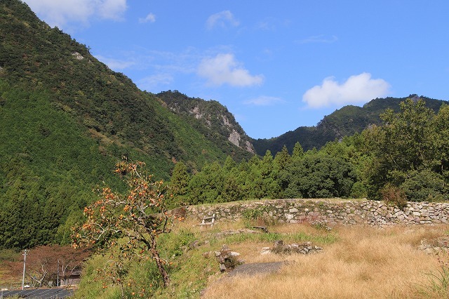 アサギマダラ蝶の里山(その1)(撮影:11月1日)_e0321325_11232380.jpg