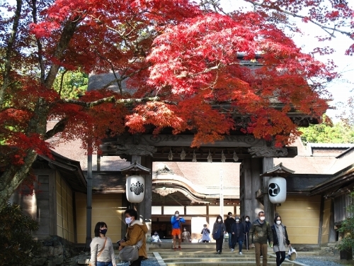 高野山、高野龍神スカイライン ツーリング_b0319434_00354746.jpg