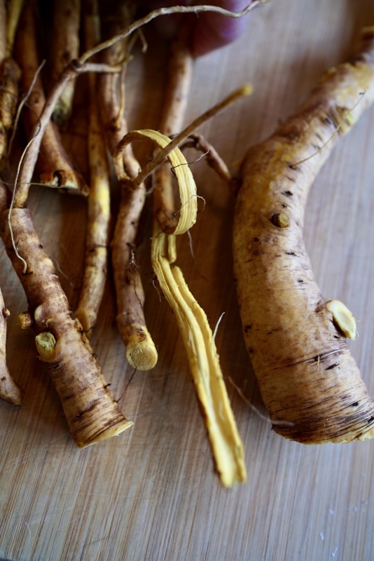 ギシギシの根っこを薬に変える グルグルつばめ食堂 ギシギシの根っこを薬に変える グルグルつばめ食堂
