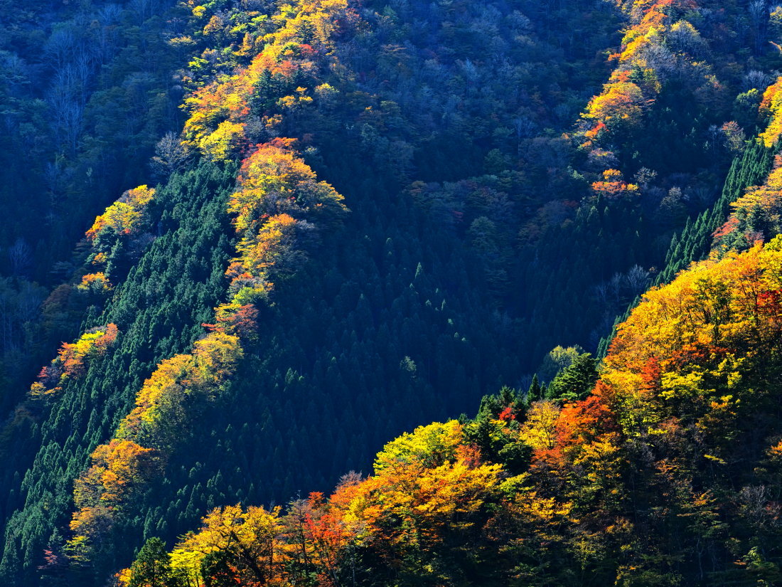 紅葉 3　　　奈良県_d0286954_04290247.jpg