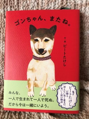 できることと、好きなことが同じではないことを知るのが大人です。_f0009169_19464393.jpg