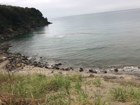 できることと、好きなことが同じではないことを知るのが大人です。_f0009169_19472643.jpg
