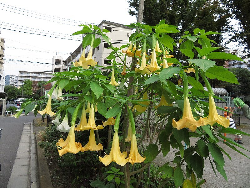 名刺は新しい自分の居場所を生み出す。_b0141773_22445513.jpg