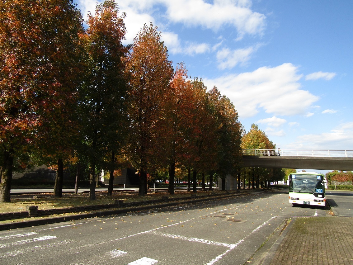 県総の秋景色_f0281398_01465695.jpg