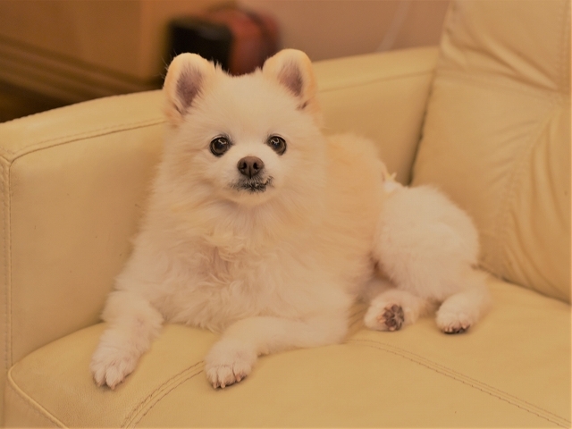 ある再会_d0360206_23113539.jpg