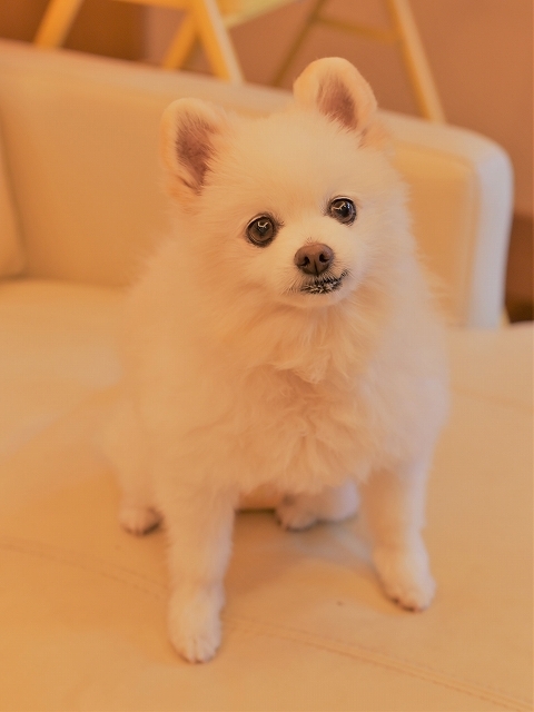 ある再会_d0360206_23113986.jpg
