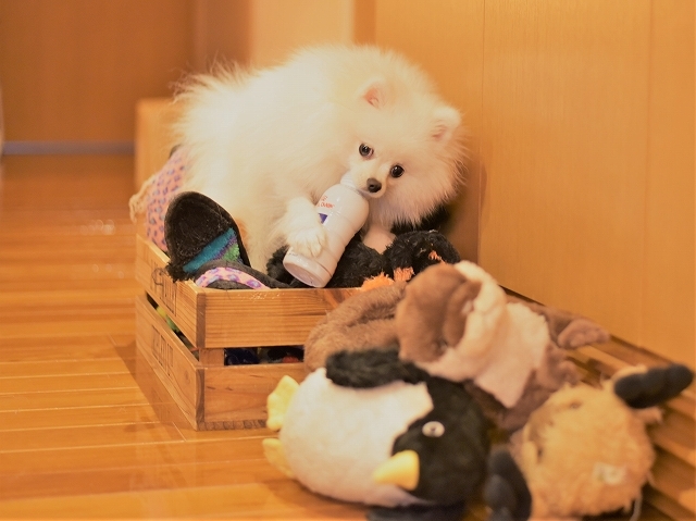 ある再会_d0360206_23115073.jpg